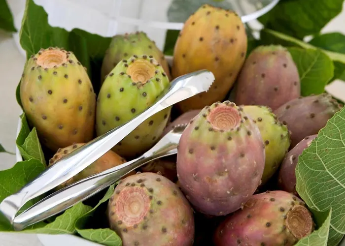 Palazzo Papaleo Hotel 5*